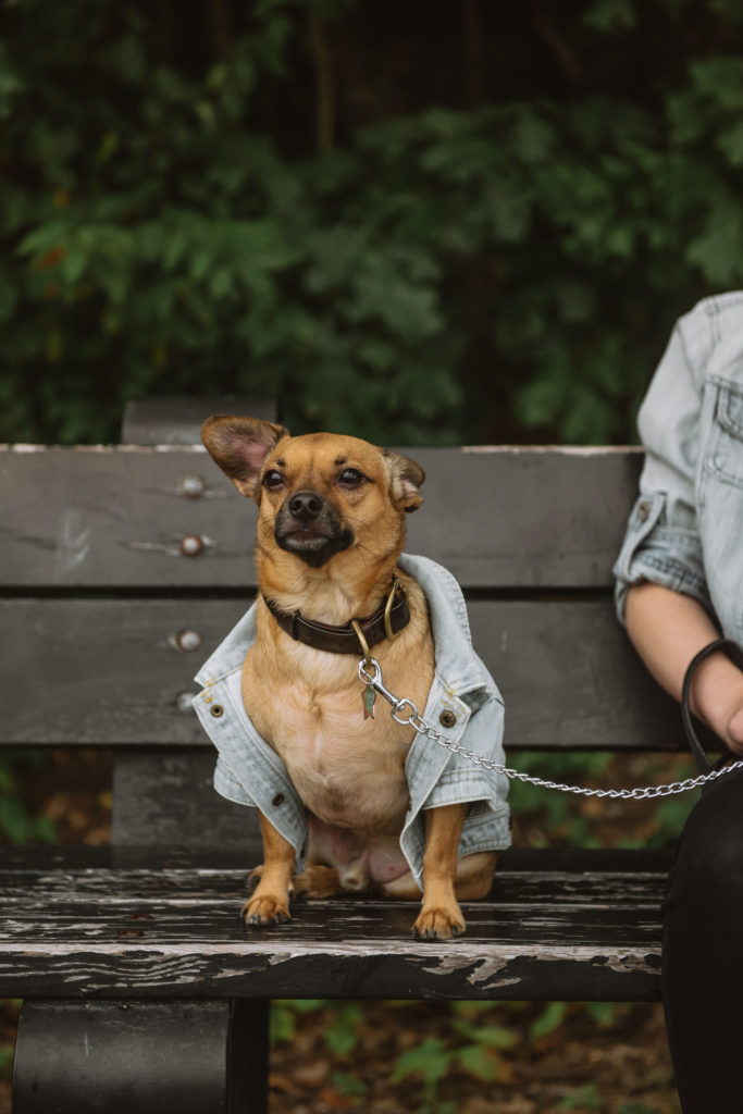 Milo sitting on a bench with part of Danielle's right arm showing on the right hand side of the photo. They are wearing matching denim jackets.