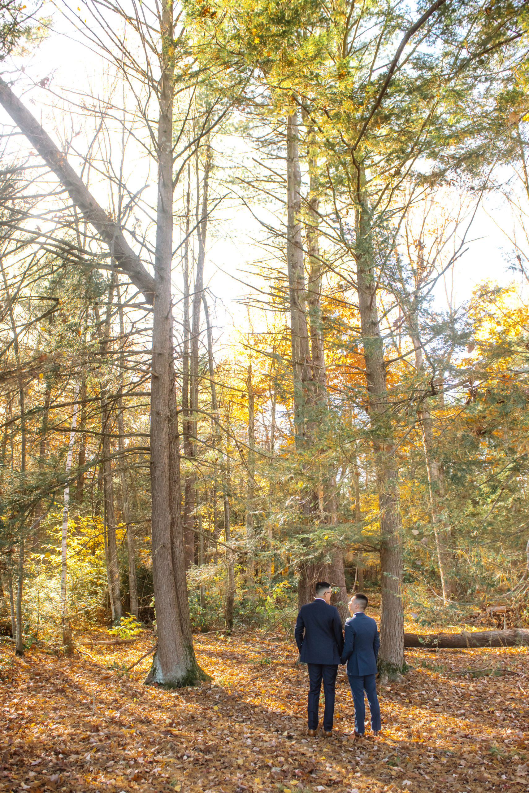 Two grooms standing side by side, holding hands. They are both looking at each other, facing away from the camera. They are dressed in two different colored dark blue suits. They are in an autumnal forest.