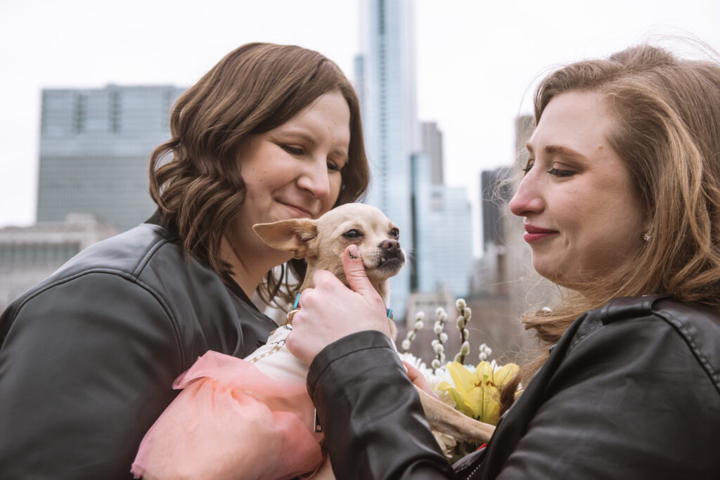 Close up of two brides holding their little Chihuahua in between them. Their Chihuahua is looking off camera. She is dressed in a shirt + tutu outfit. Both brides are smiling and looking at their dog.