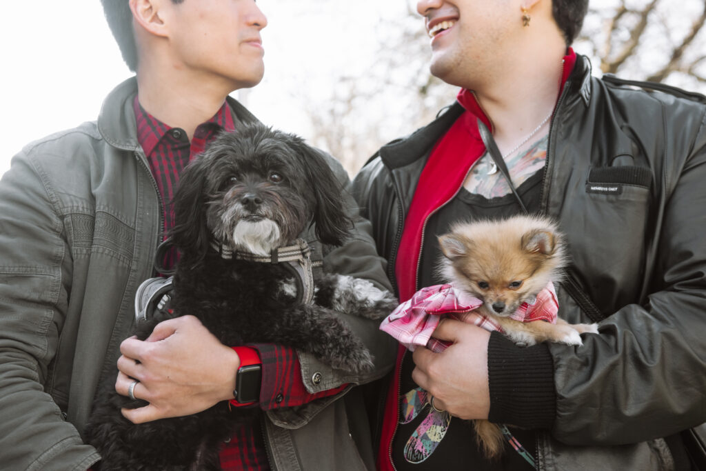 Close up of a couple standing side by side looking at one another and smiling. They are each holding a dog, one a black Maltese and the other a light brown Pomeranian wearing a red/pink dress/harness. The focus is on the dogs and the photo is framed to cut off the top half of the couple's faces.