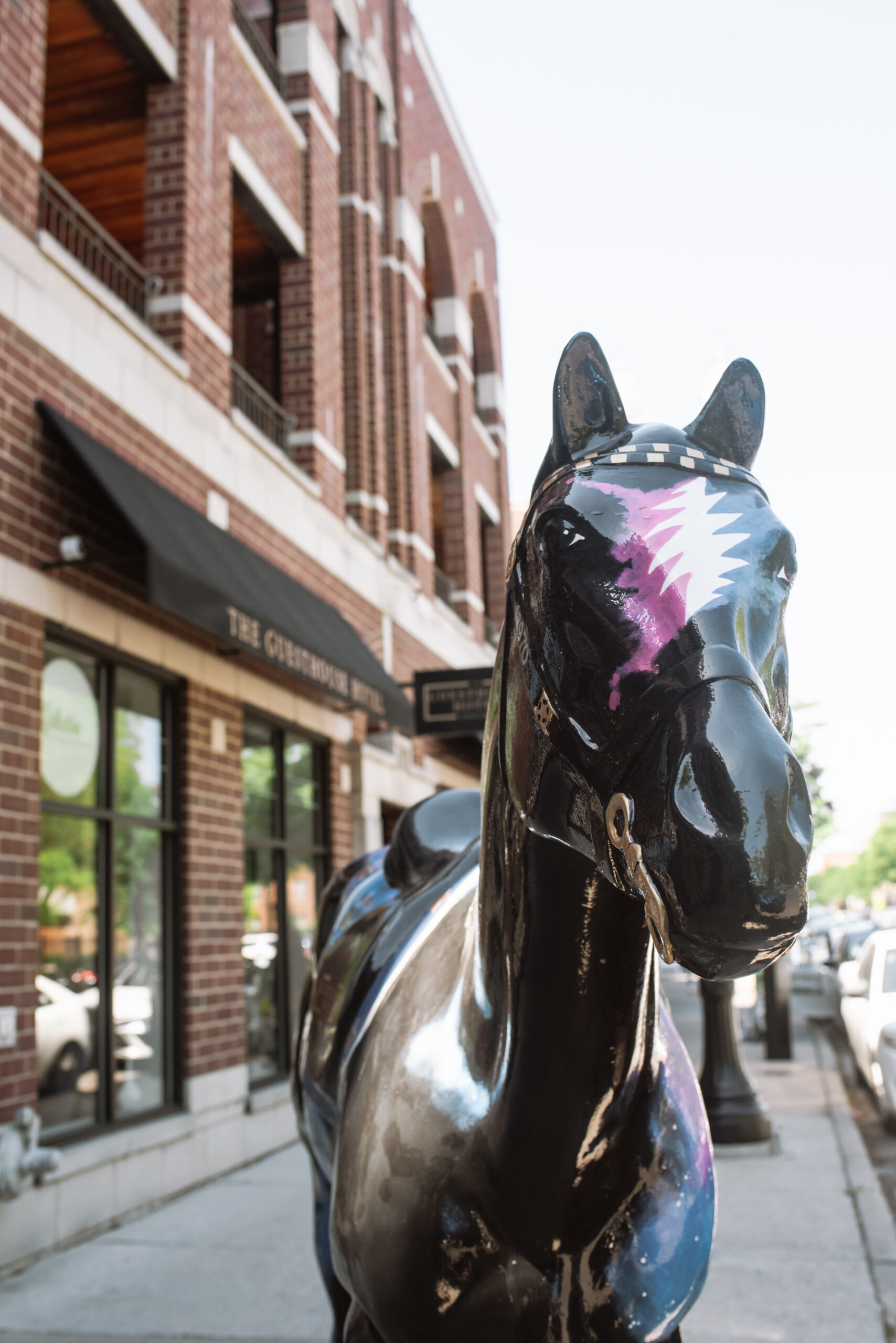 A Queer Andersonville Chicago Guesthouse Hotel Rooftop Elopement with