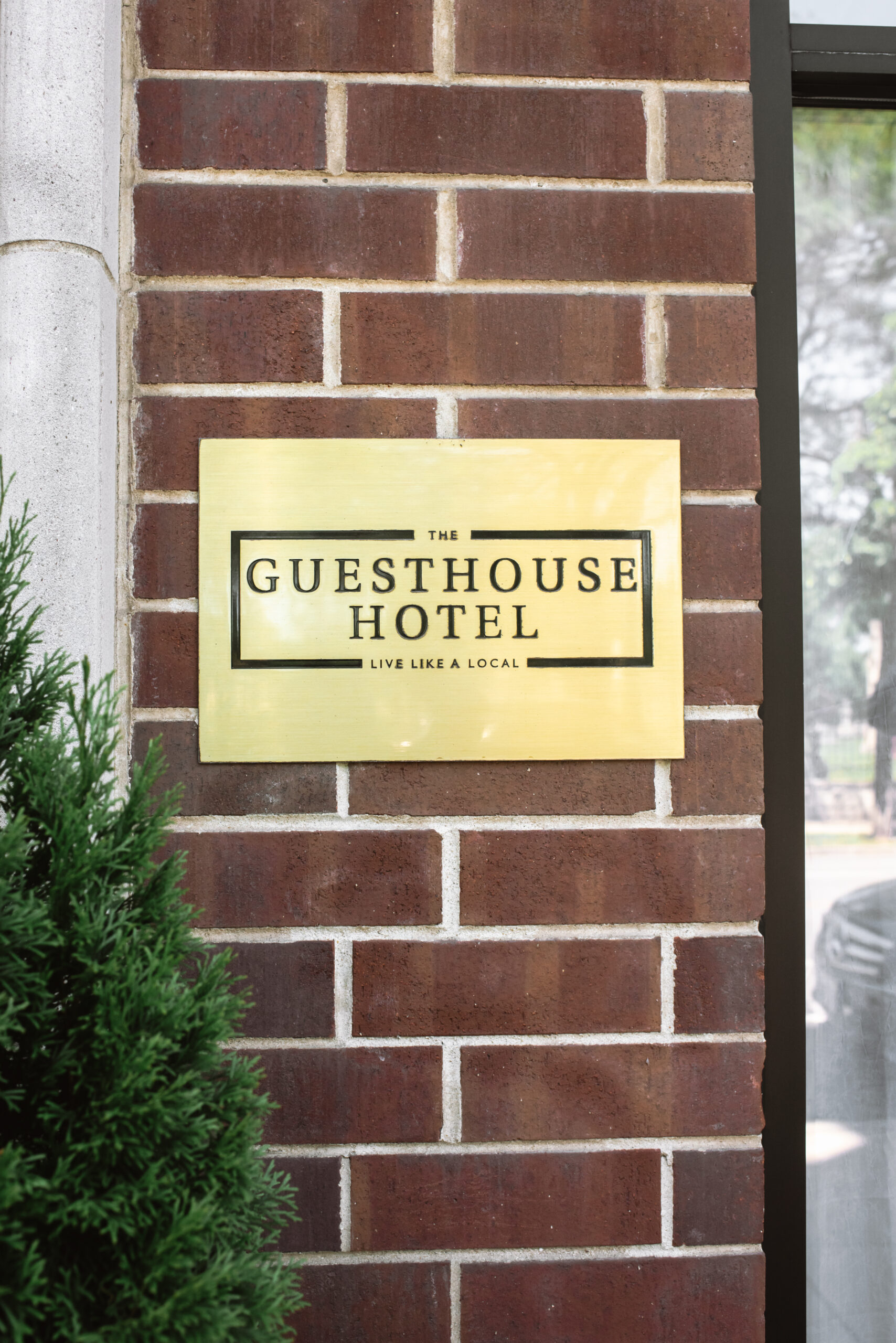 A Queer Andersonville Chicago Guesthouse Hotel Rooftop Elopement with